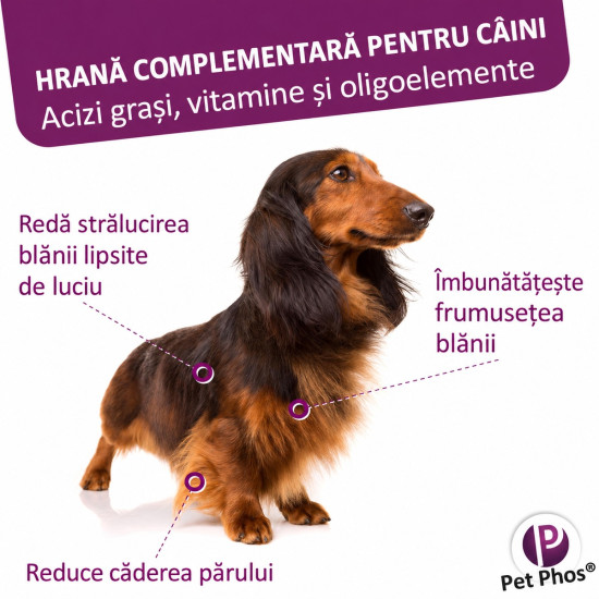 Pet Phos Pelage Ceva – Supliment Vitamino-Mineral pentru Câini – 50 Tablete